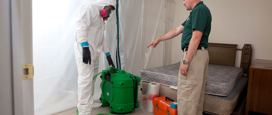 Redondo Beach, CA mold removal process